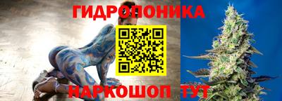трава Кандалакша