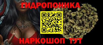 трава Кандалакша